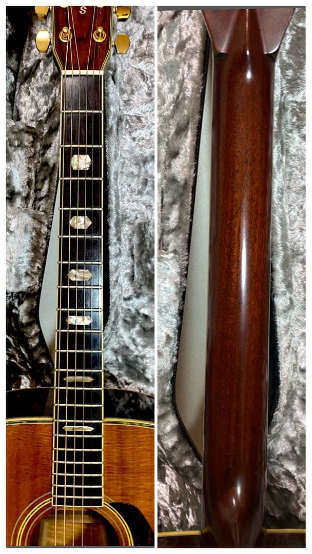 Morris アコースティックギター TF50スプルース単板ハカランダHC付