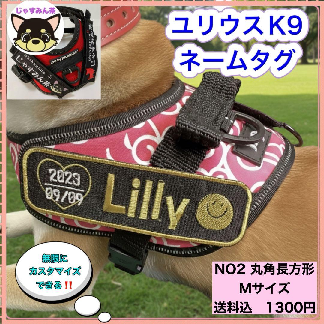えり　ユリウスK9対応　オーダーメイド ネームタグ　刺繍名前ワッペン