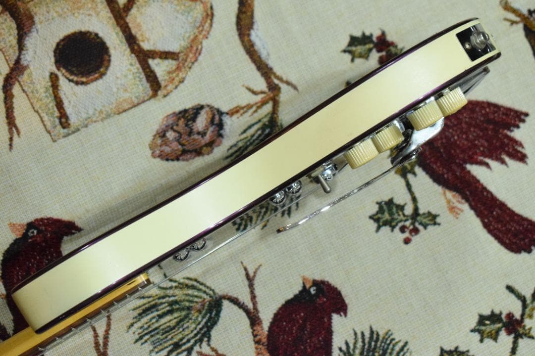 ギター Danelectro Hodad Purple