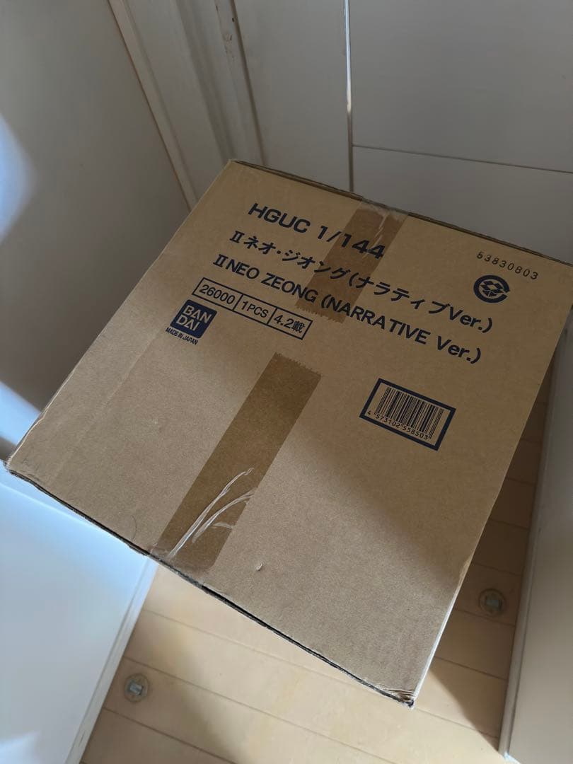 ※advance　HG 1/144 ネオジオング(ナラティブVer.)