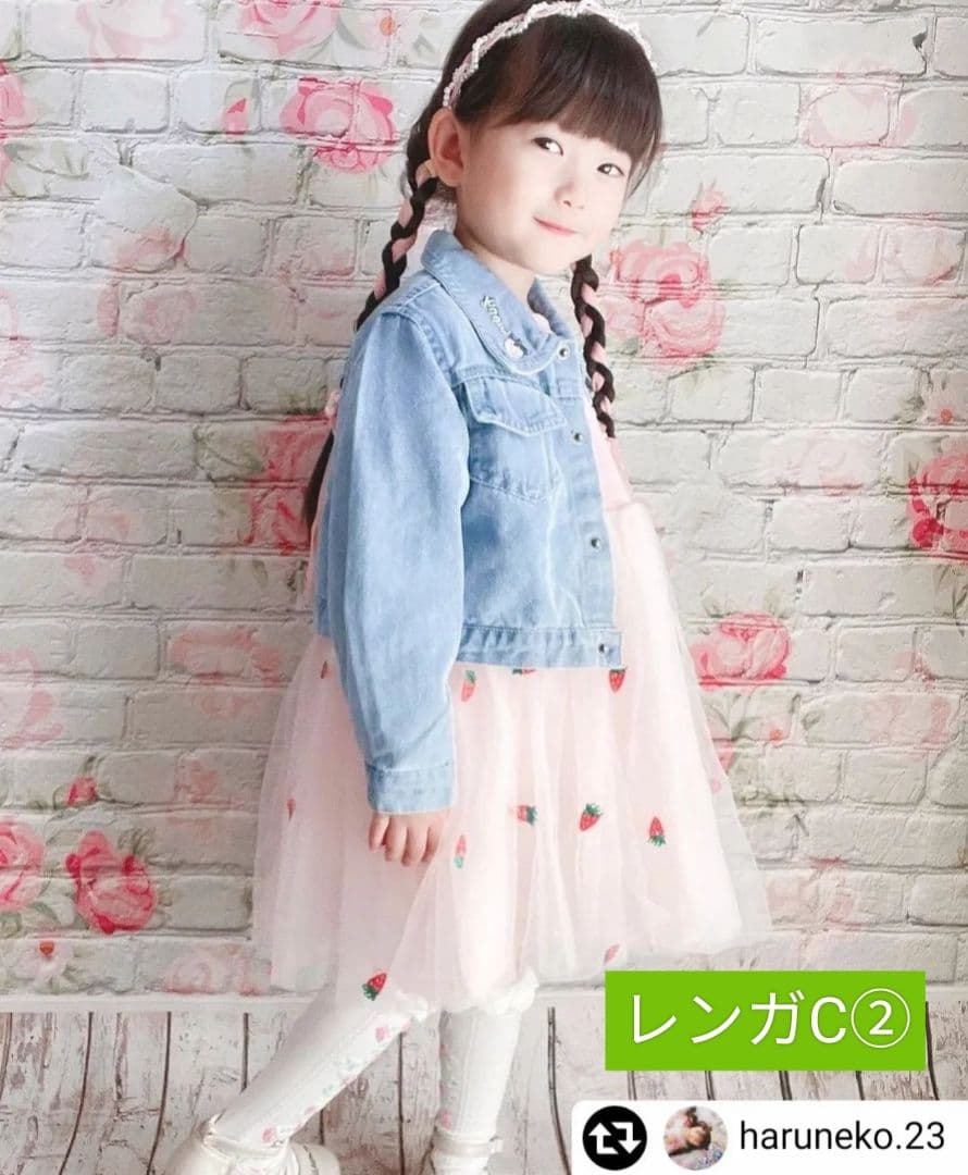 背景布【ガーデンG】サンプル　ペット、ドール撮影用ブース　薔薇　紫陽花　梅雨