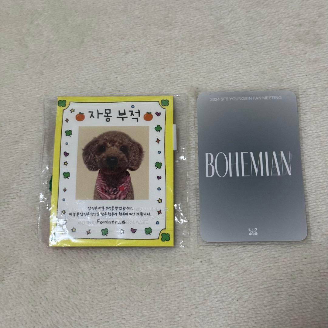 SF9 ヨンビン トレカ お守り