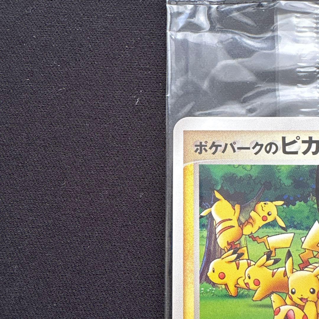 ポケパークのピカチュウ PROMO PCG-Pプロモカード 043/PCG-P