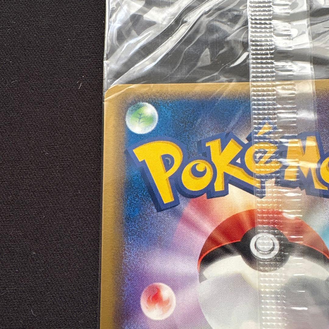 ポケパークのピカチュウ PROMO PCG-Pプロモカード 043/PCG-P