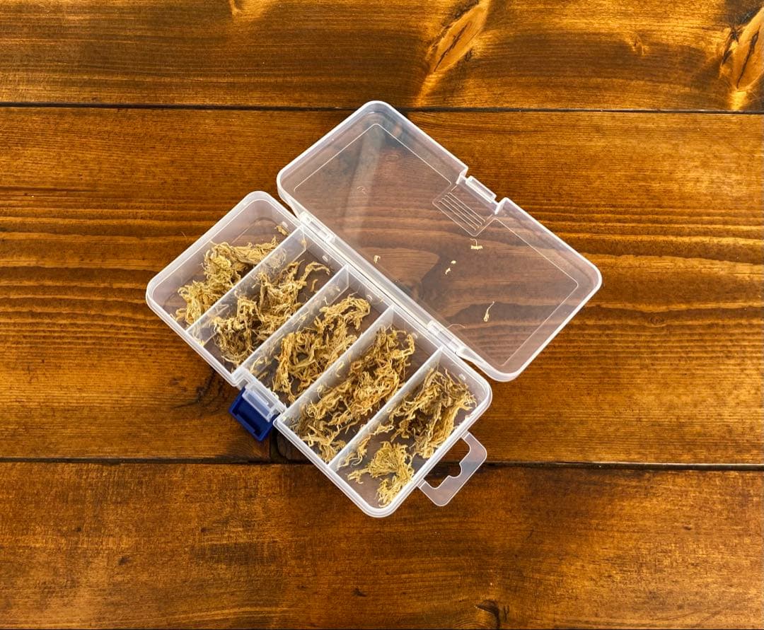 クワガタ採集セット　かき出し棒　採集道具　デジタルノギス　迷彩柄　採集ケース