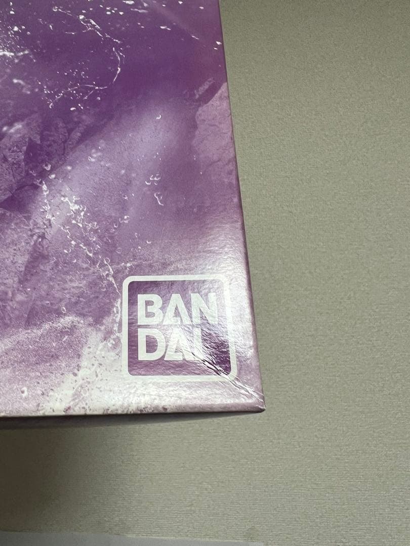 MG 1/100 ブレイズザクファントム（レイ・ザ・バレル専用機）