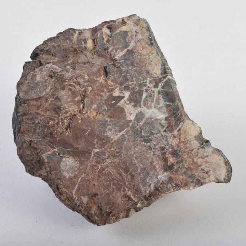 天然石　鑑賞石　菊花石　置物　重さ約1242g　C　8887