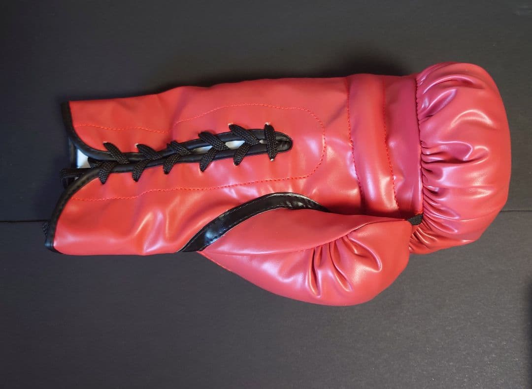 マイク・タイソン Mike Tyson 直筆サイン ボクシンググローブ 赤