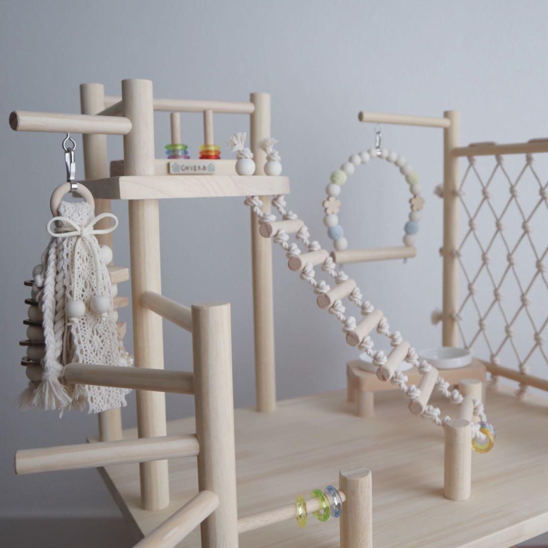 ことりのおおきなあそびば　インコ　バードジム　バードアスレチック　ブランコ