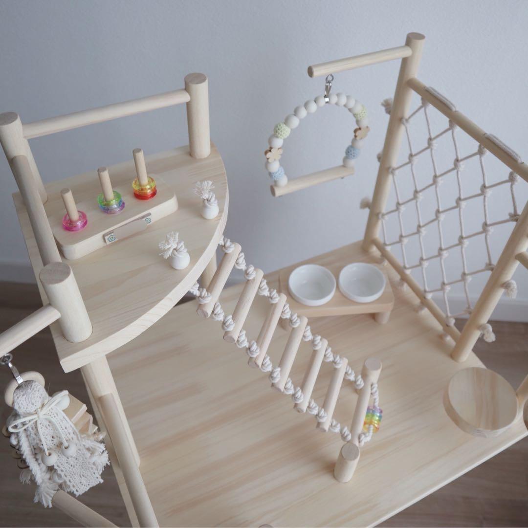 ことりのおおきなあそびば　インコ　バードジム　バードアスレチック　ブランコ