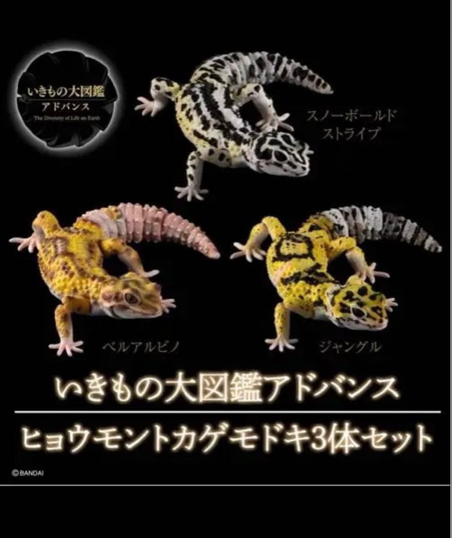 いきもの大図鑑 ヒョウモントカゲモドキ コンプ