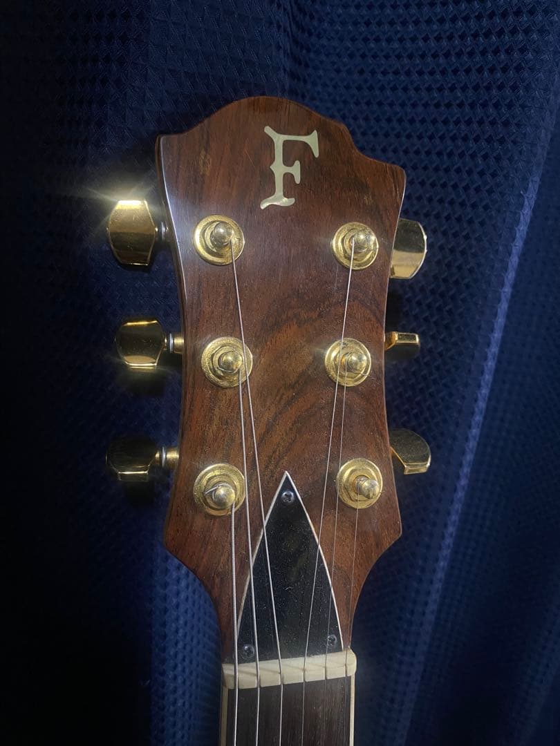 ギター FERNANDES MG-80X hide