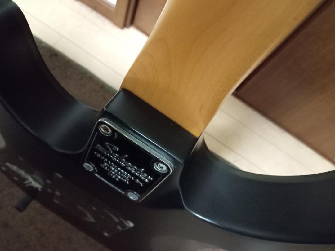 SCHECTER AD DM-FR/SBK AD DM-FR 6弦エレキギター