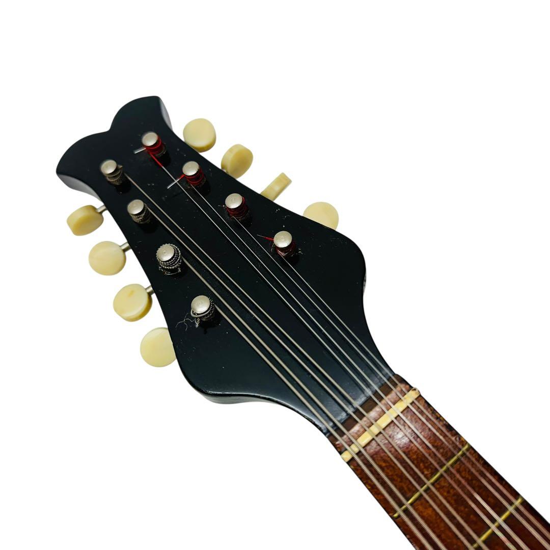 Suzuki Violin スズキバイオリン　マンドリン