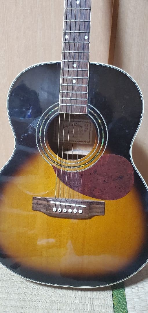 ギター Sepia crue made in china tipe F250 LH/TS