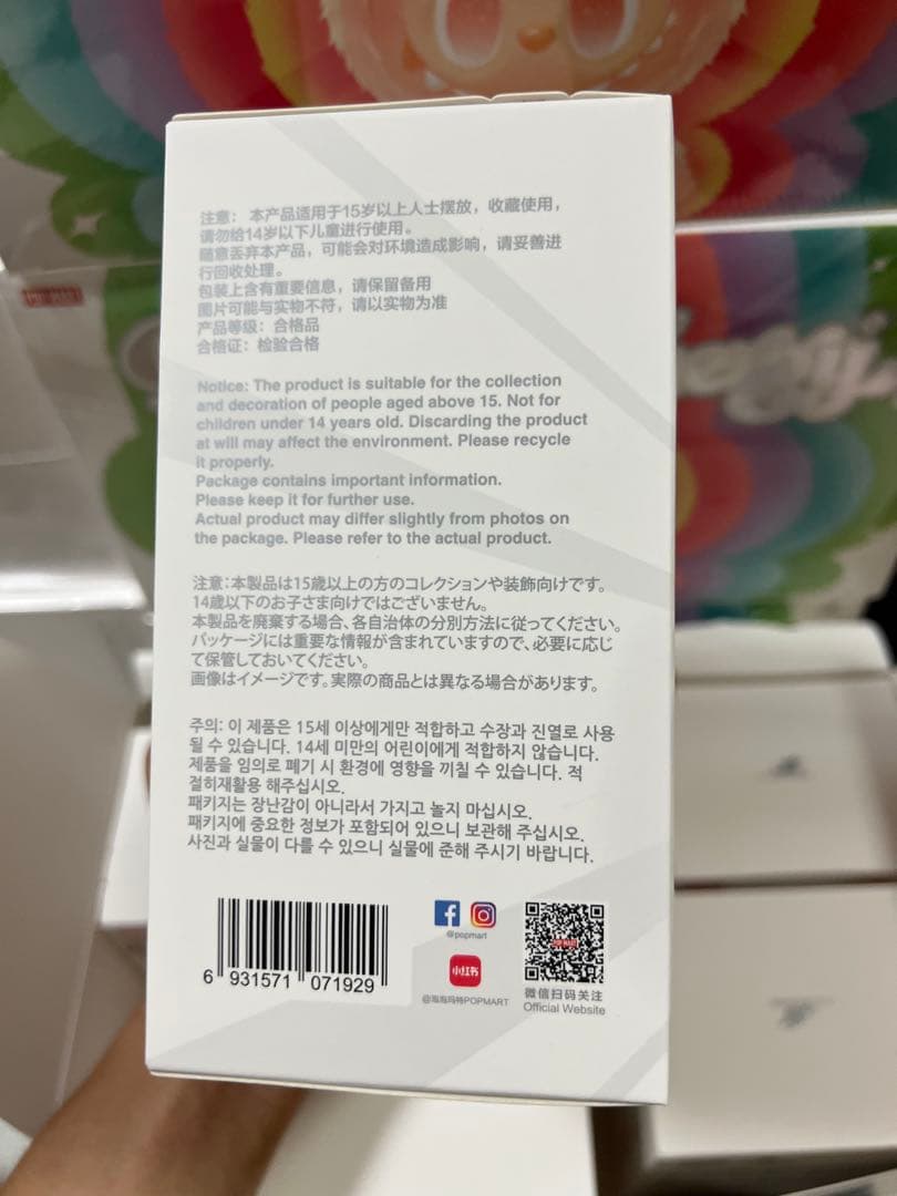 【正規品・未開封】Labubu Big into Energy 10箱