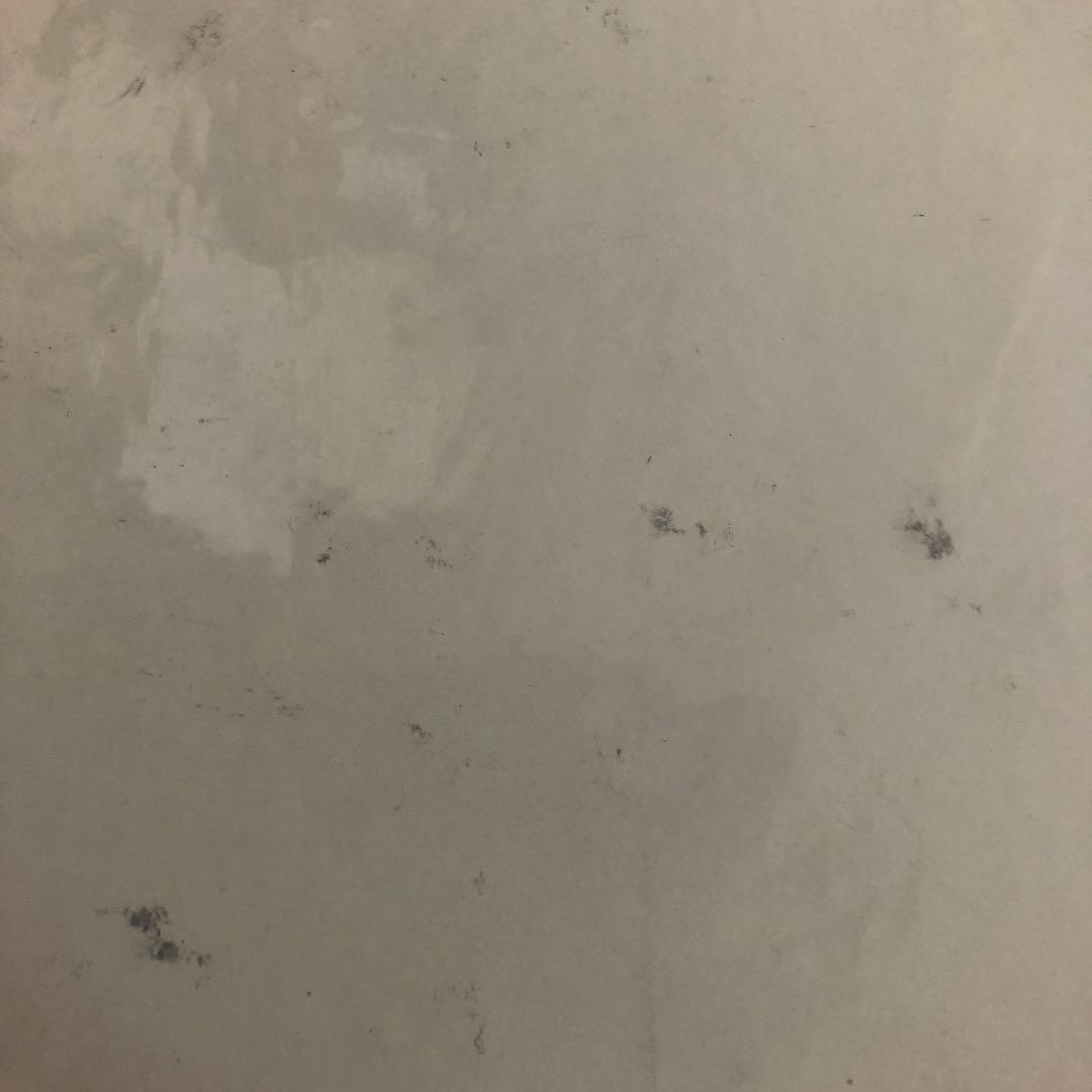 野猿　直筆サイン　色紙　avex trax