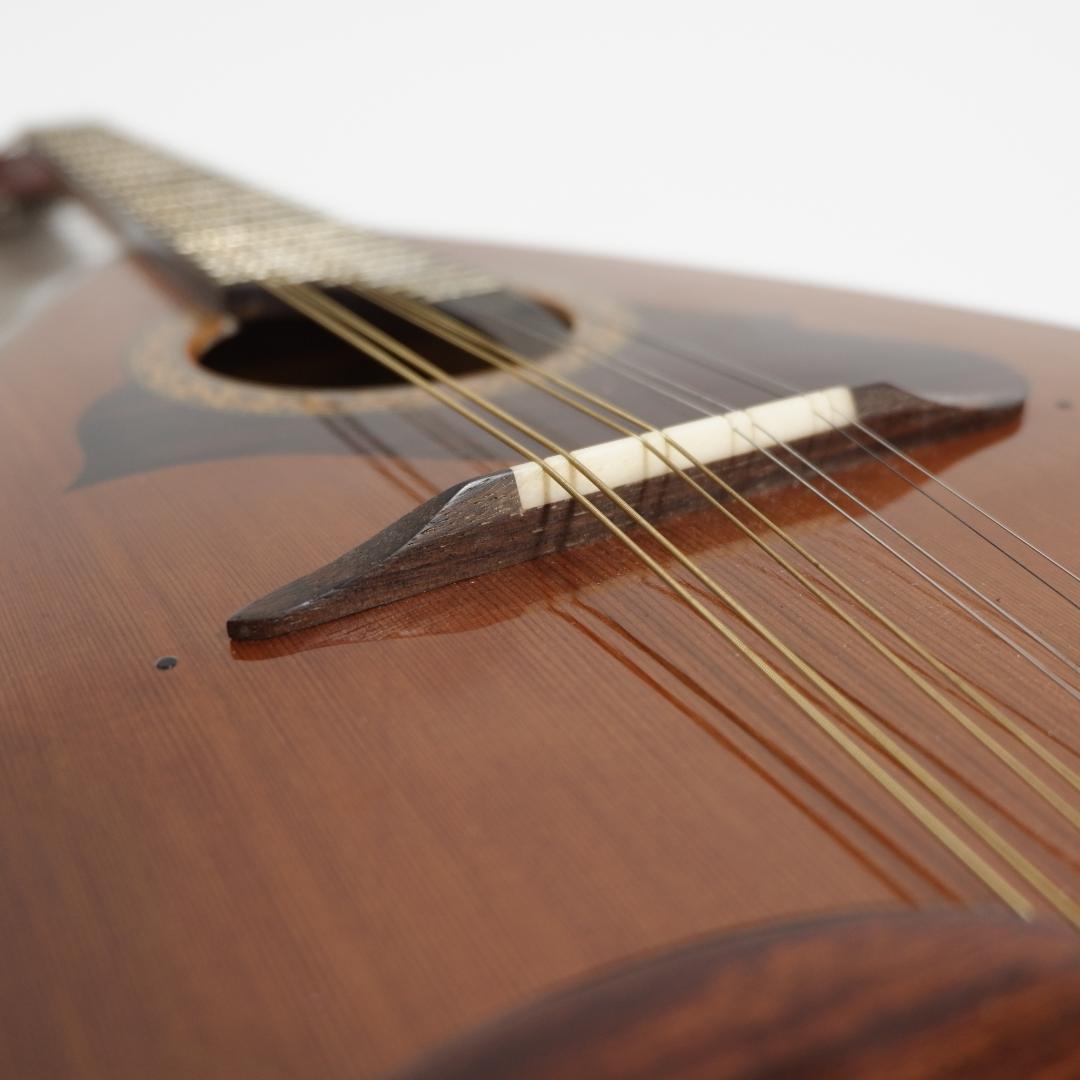 Suzuki スズキ マンドリン M-215 ハードケース付き