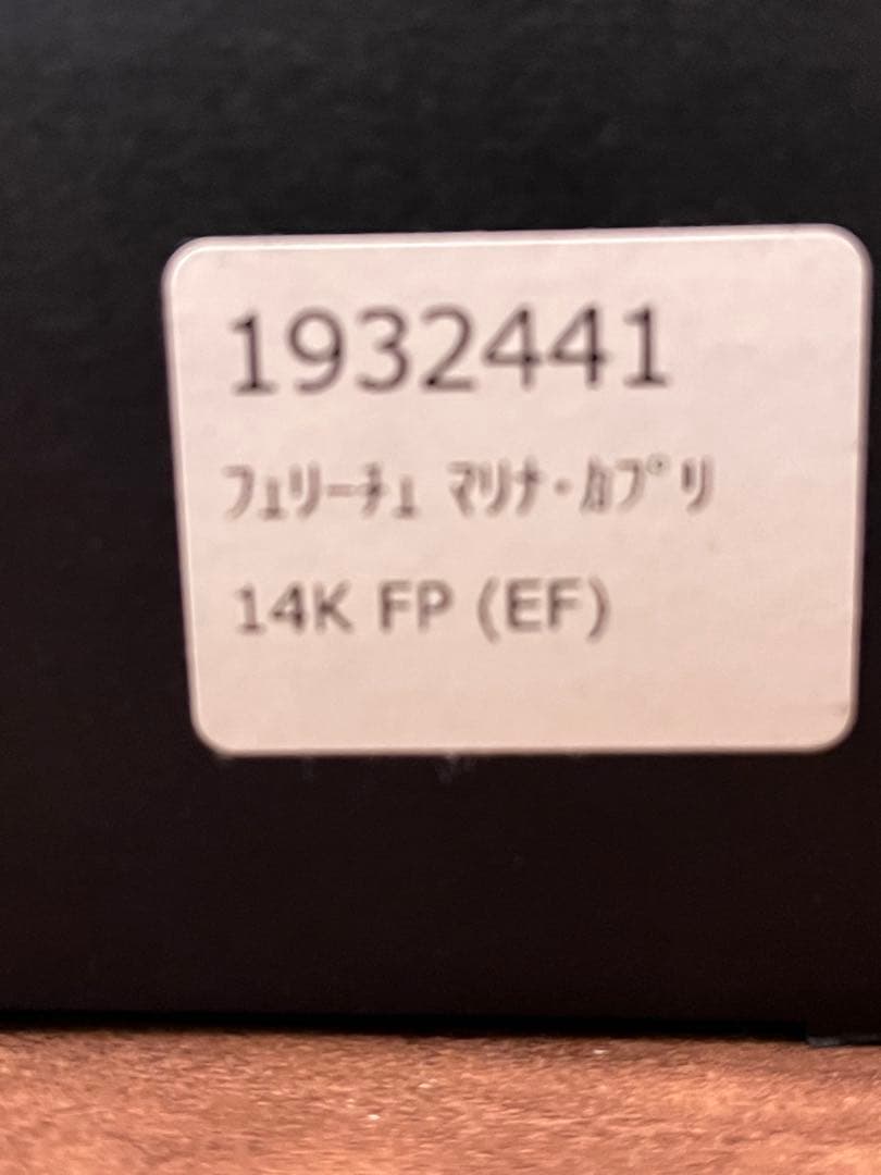 【限定】レオナルド オフィチーナ イタリアーナ フェリーチェ マリナカプリ　EF