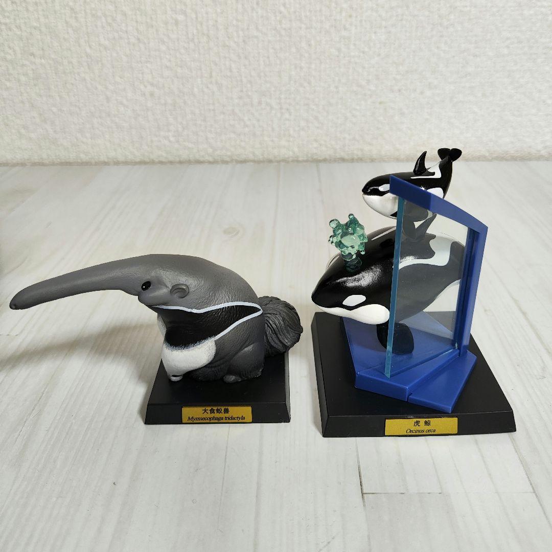 【動物の惑星】★ナイルワニ上海WF188体限定+オオアリクイ&シャチ★フィギュア