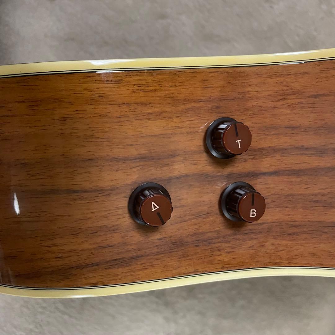 YAMAHA L-5ES エレアコ ヤマハ ハードケース付き