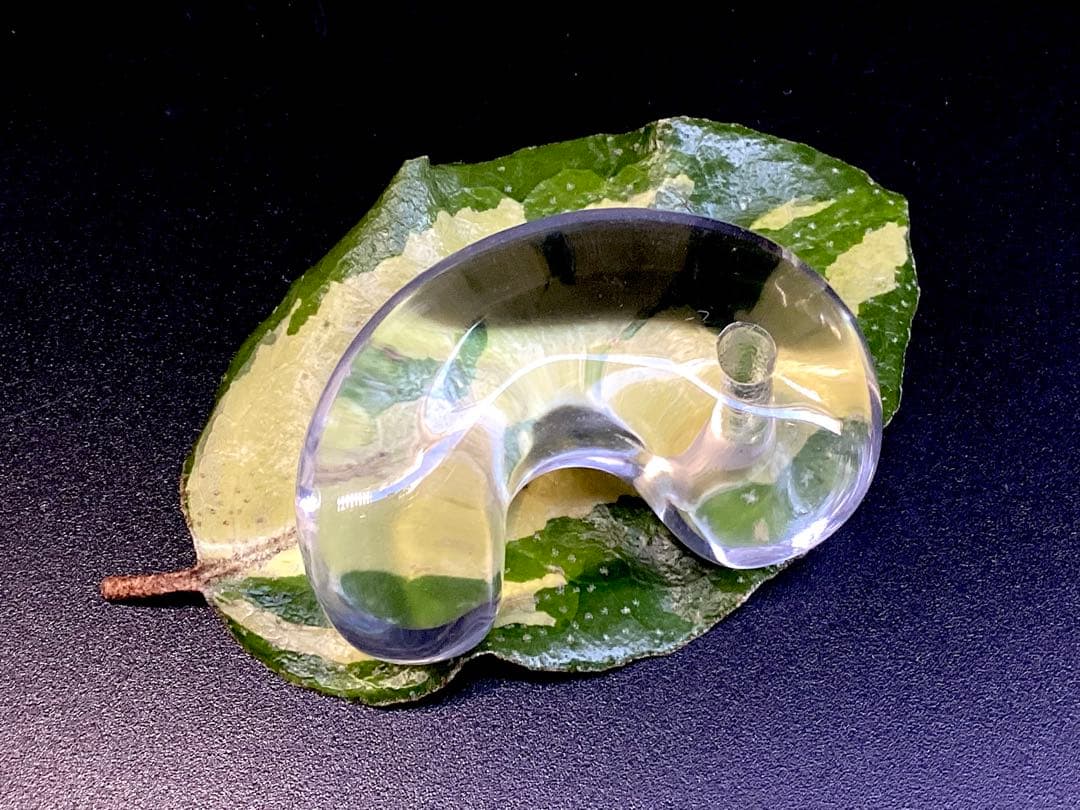 ✳黒平水晶透明感のある水晶 特大38.5mm 国内最高峰のパワー勾玉鑑別書付