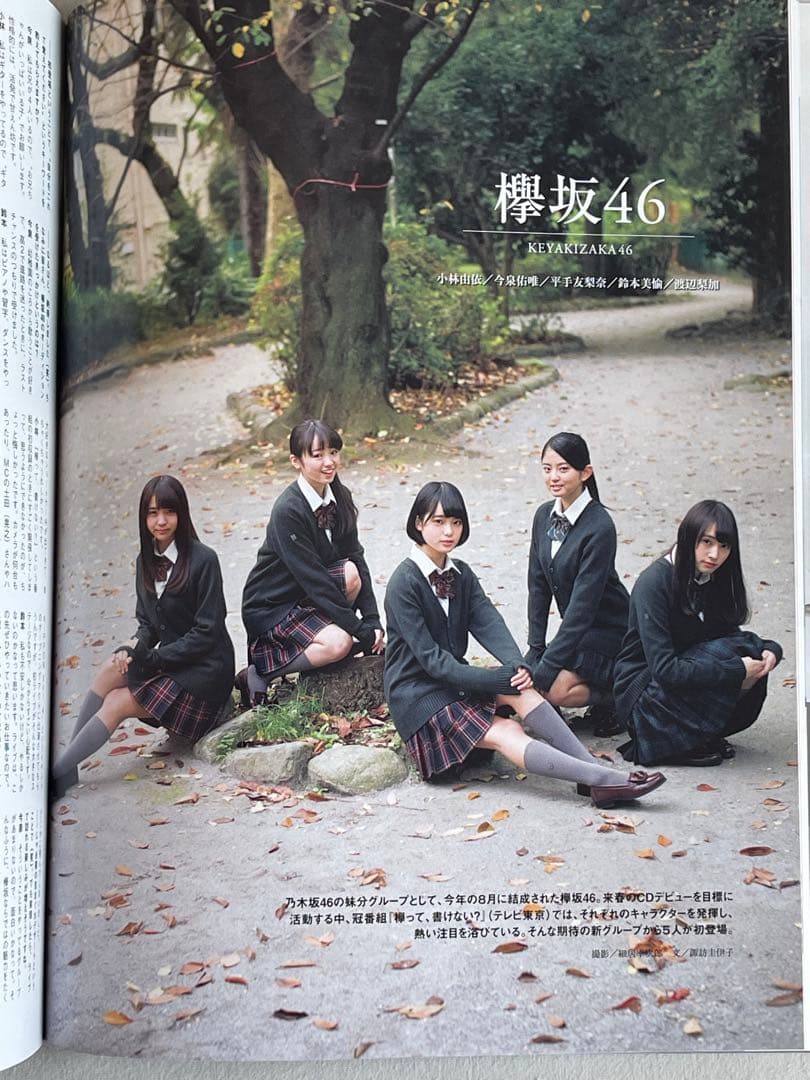 櫻坂46 平手友梨奈　小林由依　鈴木美愉　今泉佑唯　サイン入りチェキ　欅坂46