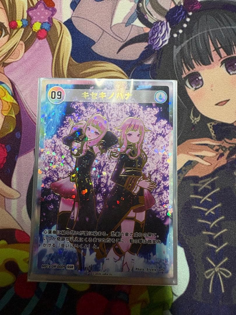 ヒメヒナ　キセキノハナ