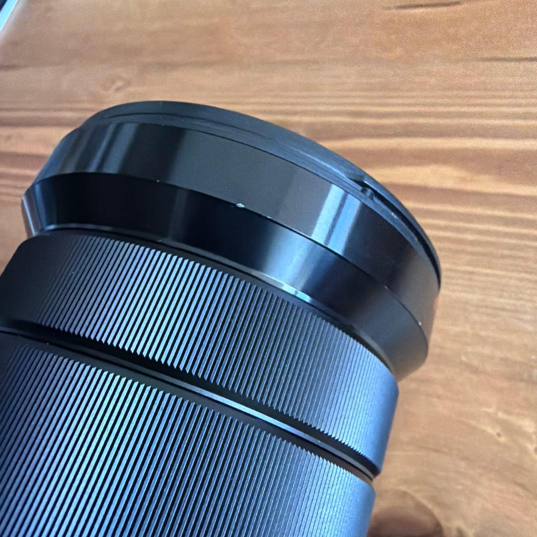 SONY E PZ 18-105mm F4 G OSS レンズ