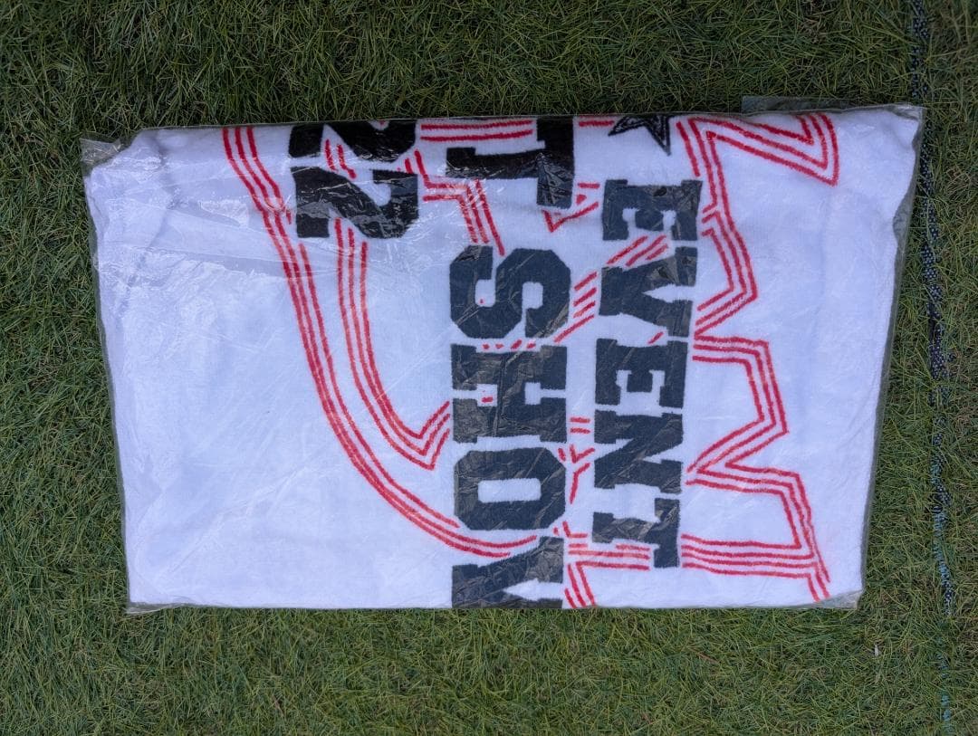 Mr. E ポージングぬいぐるみ 2種セット+タオル