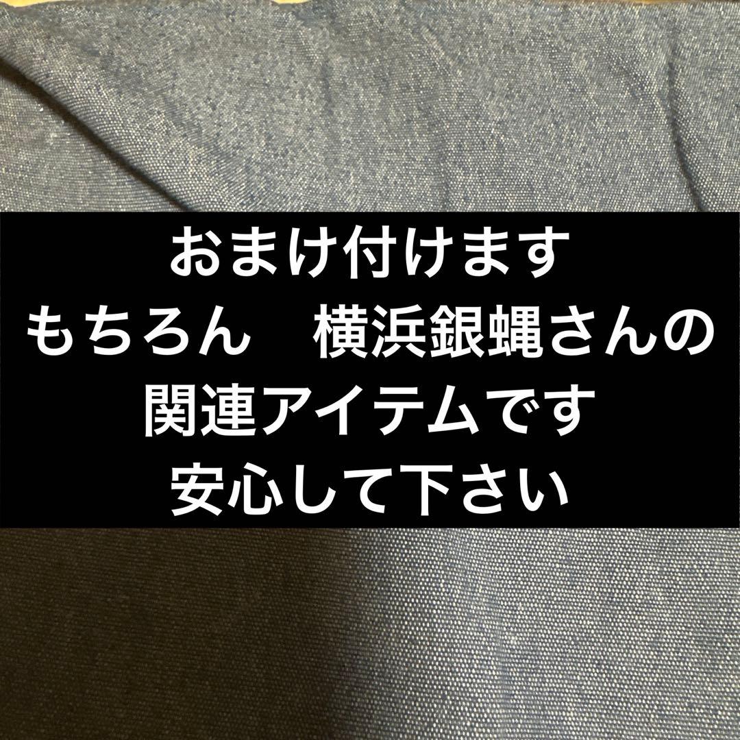 ヴィーゴル様　横浜銀蝿　直筆サイン入り　特大　エンブレム　刺繍当時品　おまけ付き