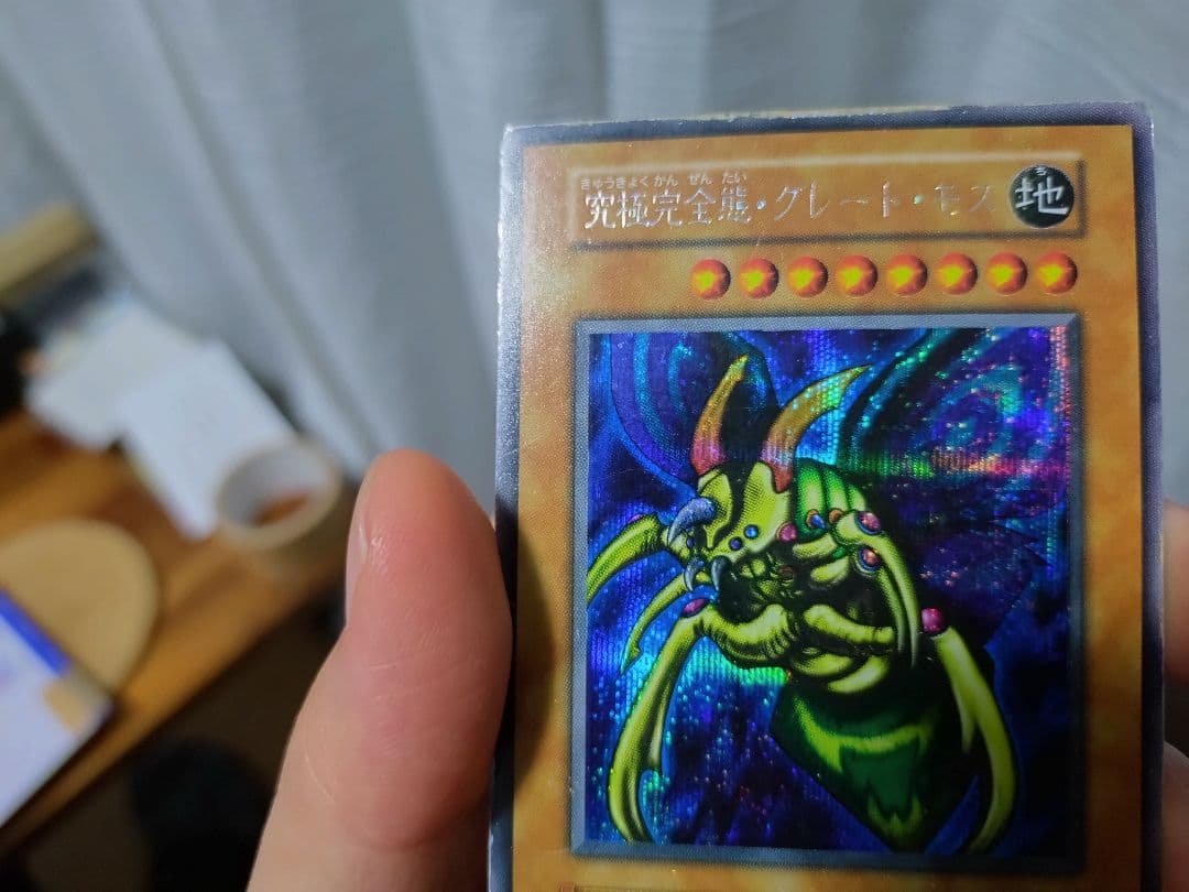 遊戯王　グレート・モス　初期　シークレット