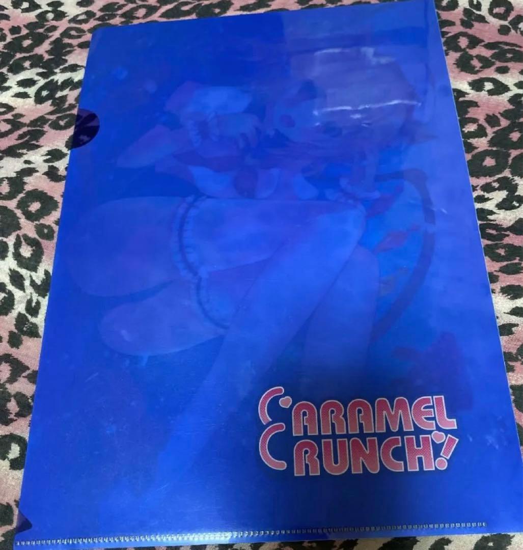 東方project フラン　水着　激レア　クリアファイル　VB2