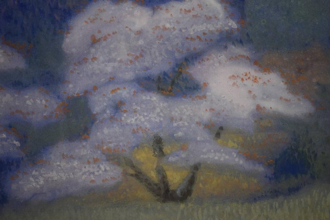 真作/中田晃陽/春堤/桜図/桐共二重箱付/布袋屋掛軸HH-860