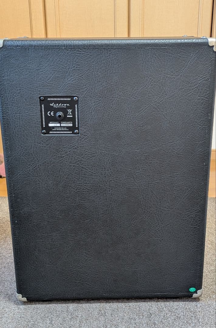 大槻裕ミゲールヌネス　　Ashdown　 10インチ×2　アッシュダウン