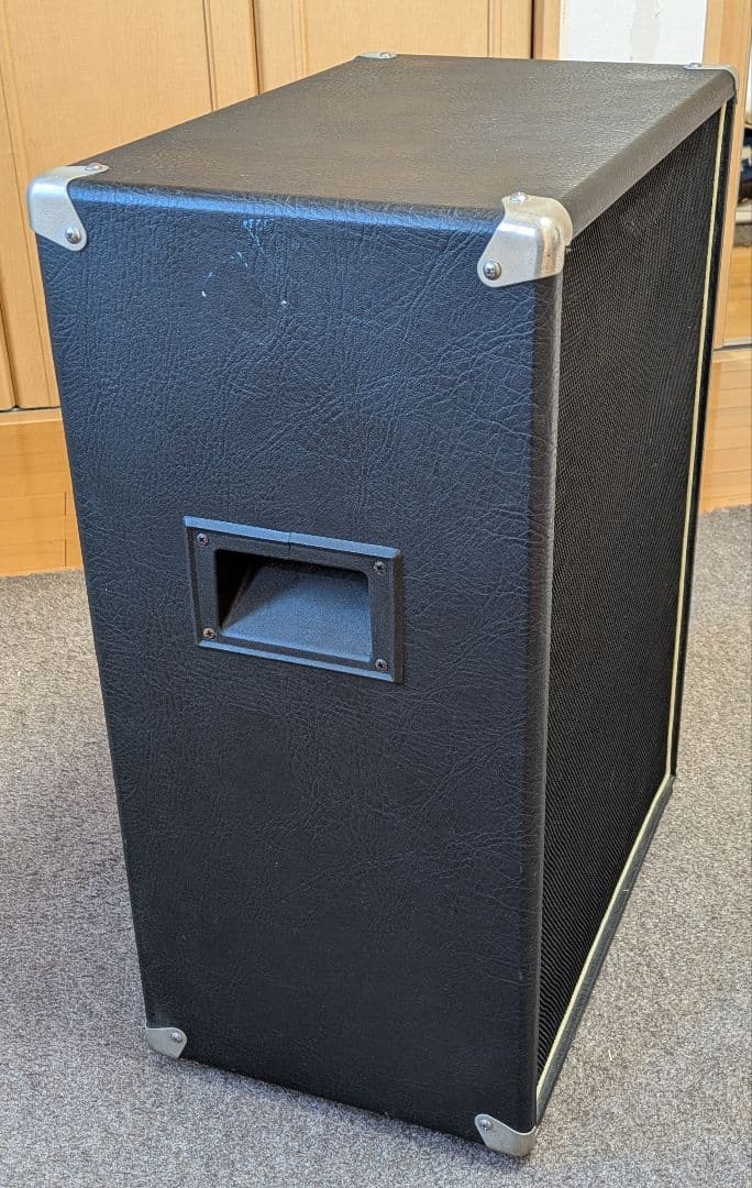 大槻裕ミゲールヌネス　　Ashdown　 10インチ×2　アッシュダウン