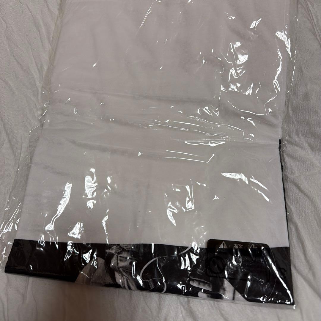 ギター Tシャツ Mサイズ ホワイト 宮崎朝子 フォトT 激レア