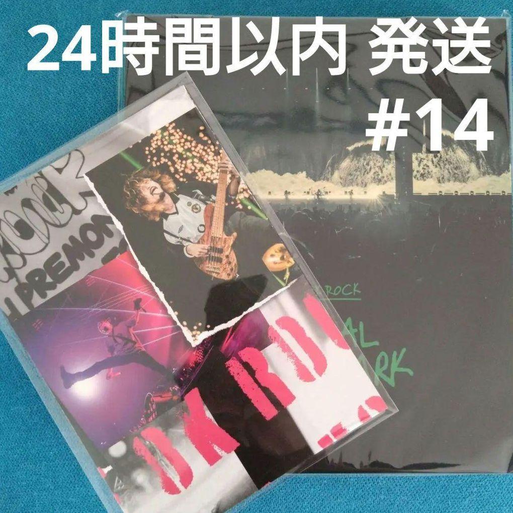 PRIMAL FOOTMARK 2025 プライマルフットマーク ワンオク