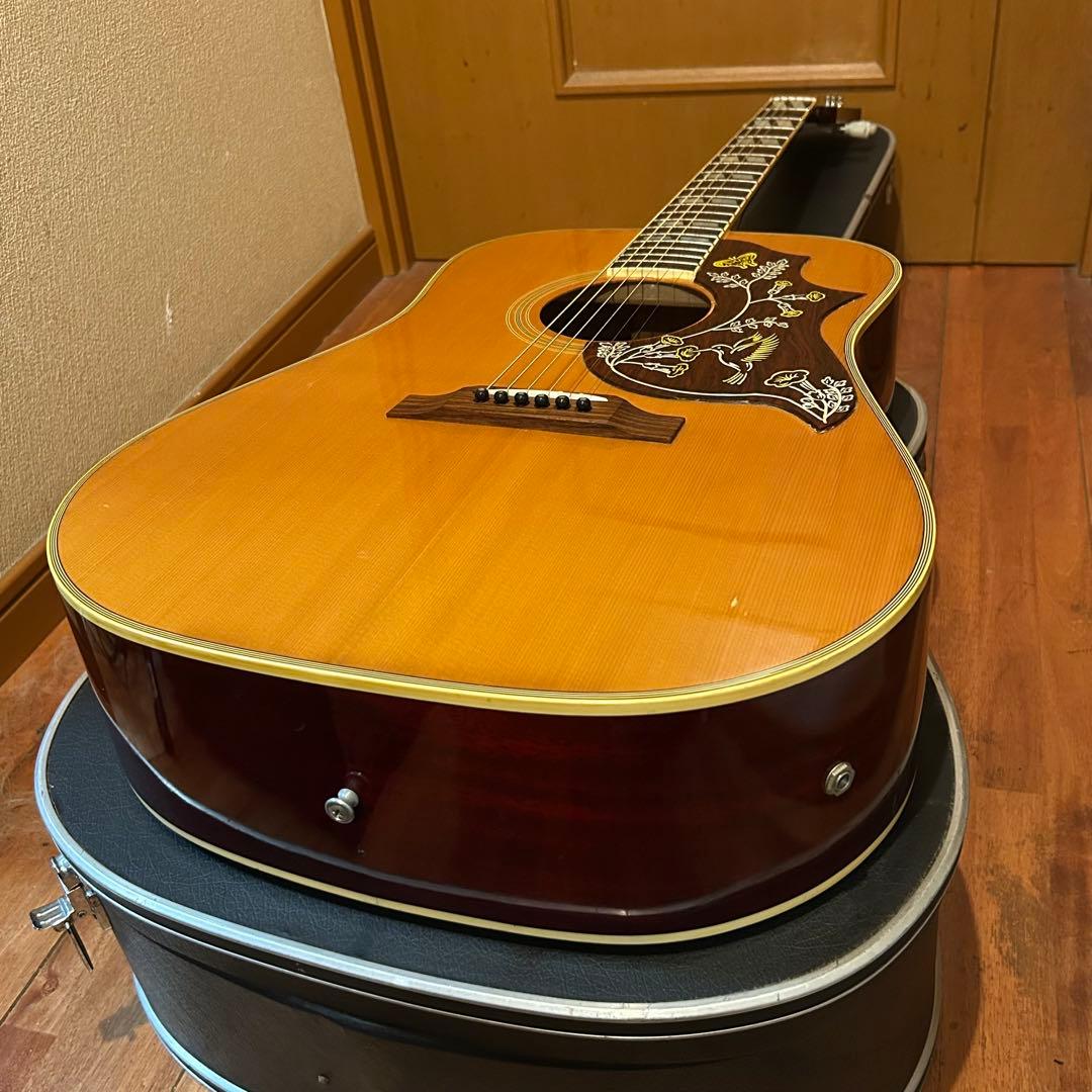 超レア！Orville by Gibson HUMMINGBIRDエレアコ