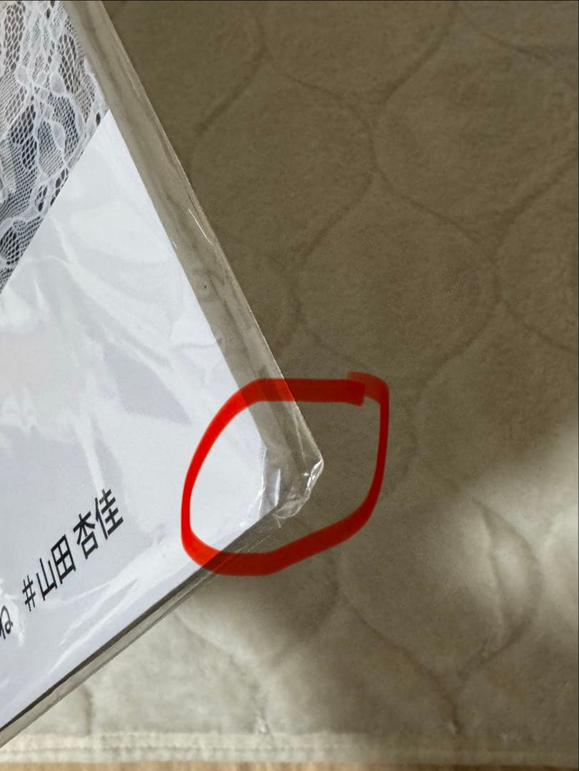 ぱ*照様 山田杏佳　パネル