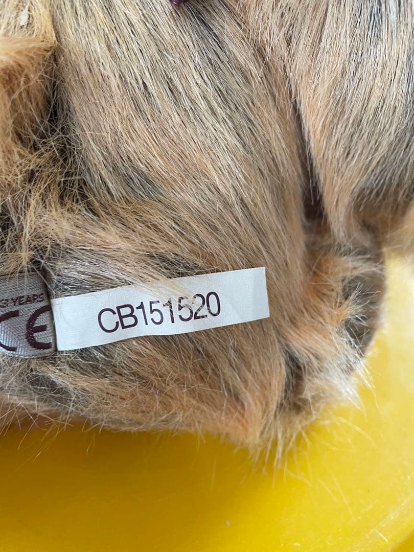 チャーリーベアーズ　テディベア　ぬいぐるみ　①