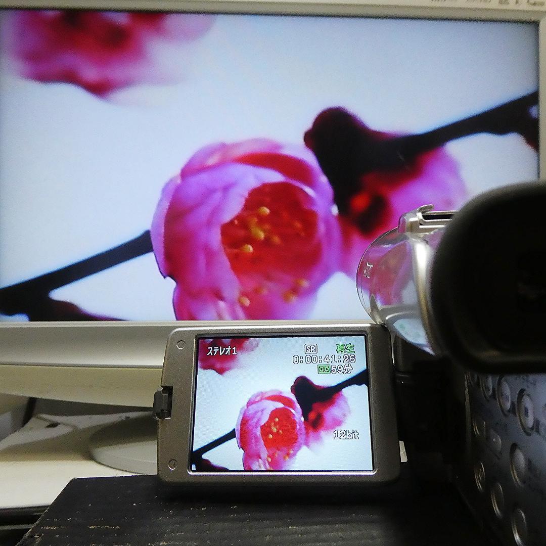 動作良好 キャノン DM-FV M100 MiniDVビデオカメラDVD化に最適