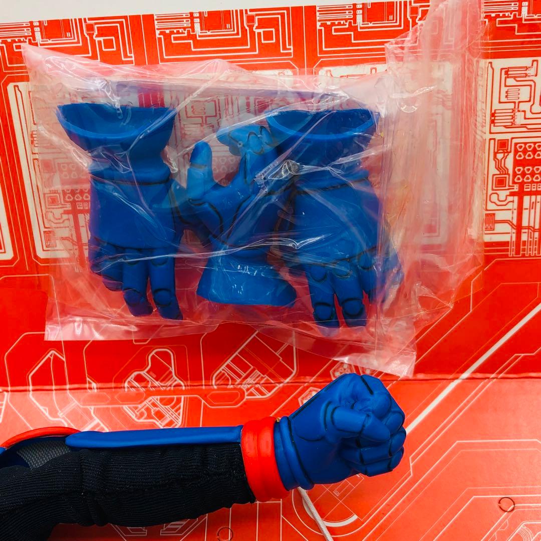 タイムハウス 仮面ライダーブラックRX バイオライダー THM