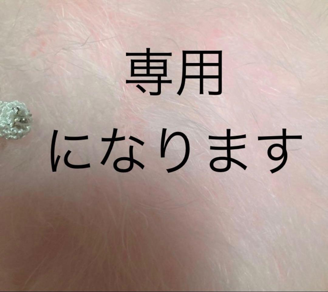 ⭐︎専用⭐︎美品　振袖フルセット 身長148～161cm和装小物23点ピンクファー