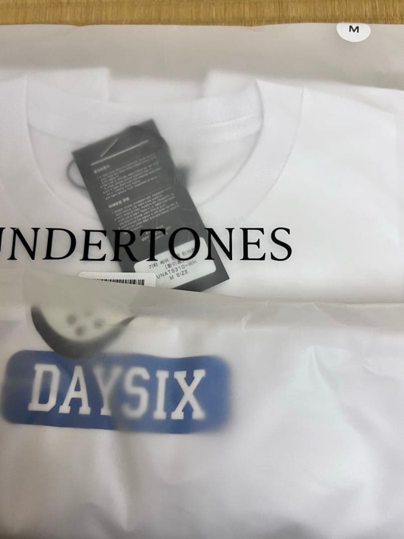 DAY6 x UNDERTONES ソンジン sungjin コラボ Tシャツ