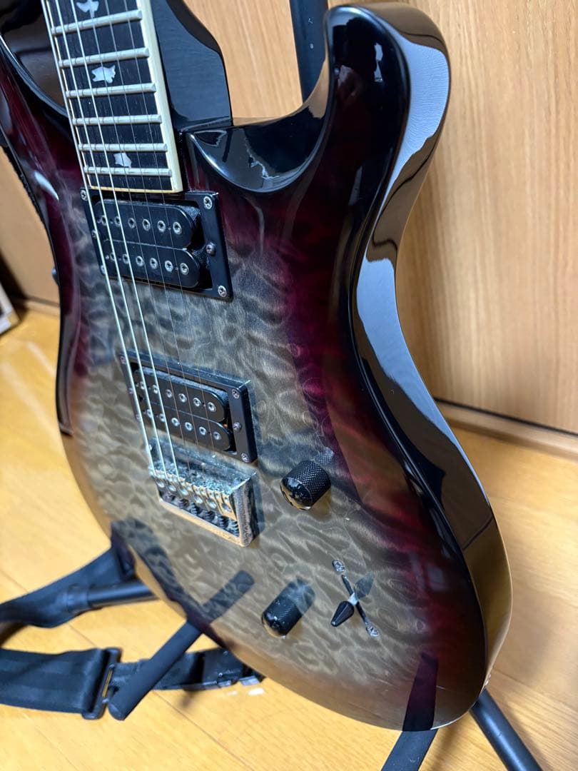 ギター Paul Reed Smith / SE Mark Holcomb