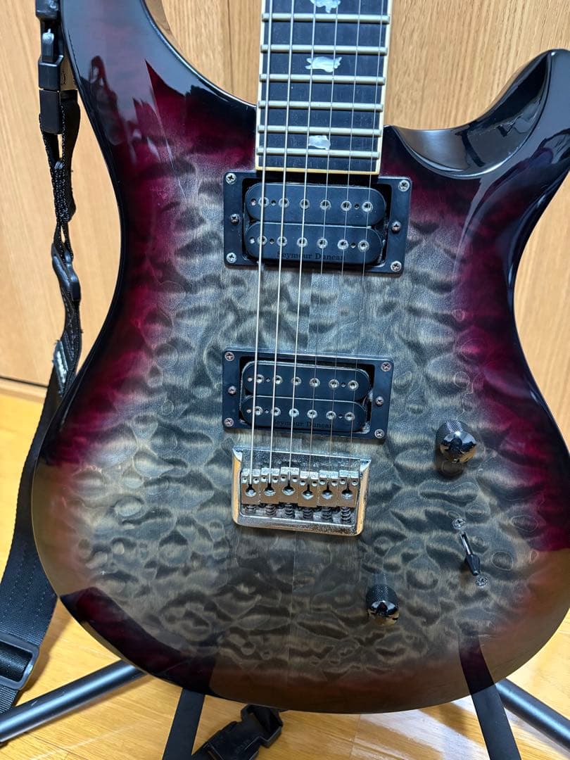 ギター Paul Reed Smith / SE Mark Holcomb