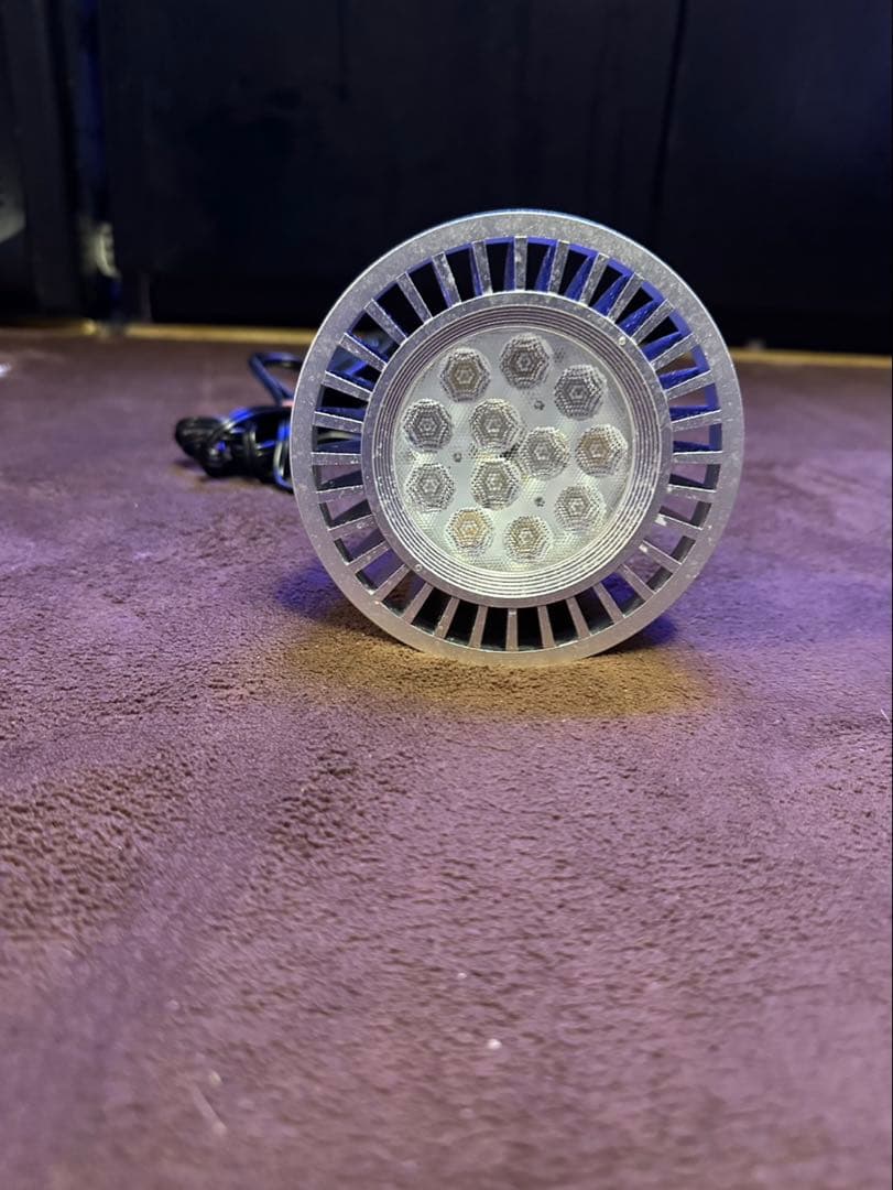 volxjapan グラッシーレディオRX122sリーフシルバーfu