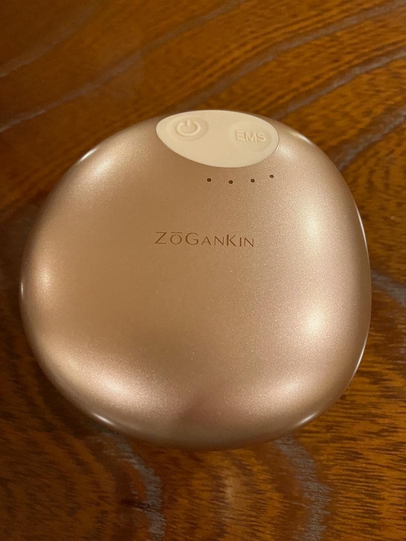 値下げ!ほぼ未使用♡【正規品】ZOGANKINゾーガンキン EMS機器 スカルプ