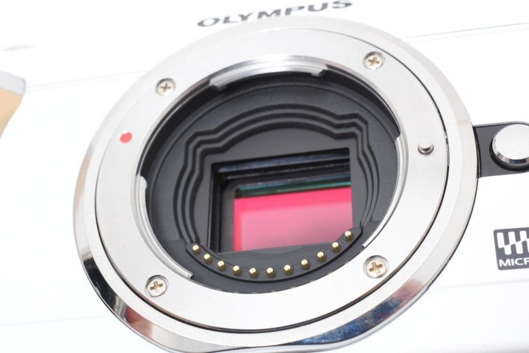 ■美品■ オリンパス　OLYMPUS PEN E-PL1 レンズキット